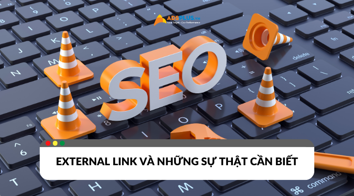 External link và những sự thật cần biết