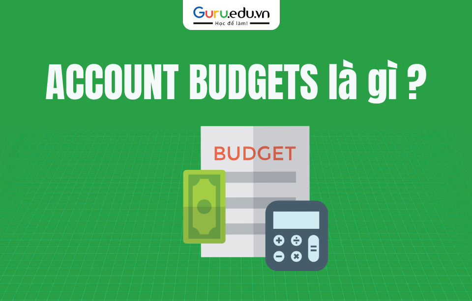 Account Budgets (Ngân sách tài khoản) là khoản tiền được phân bổ cho một tài khoản hoặc dự án cụ thể trong một tổ chức nhằm quản lý và kiểm soát chi tiêu. Chúng thường được sử dụng để đảm bảo rằng các hoạt động trong tài khoản đó không vượt quá mức ngân sách đã định.