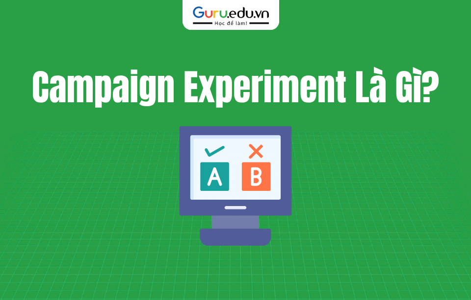 Campaign Experiment
